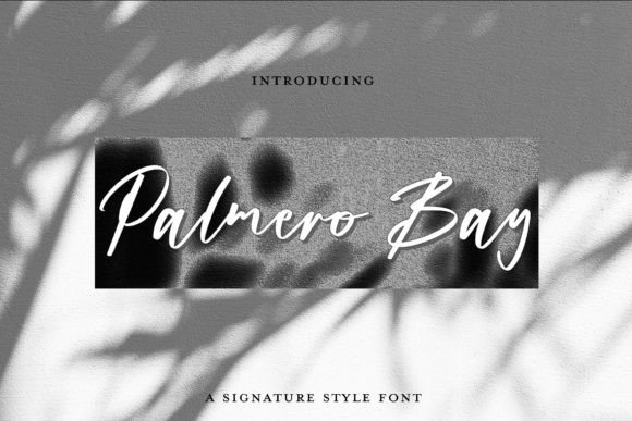 Palmero Bay: A Signature Script for Modern Editorial Design